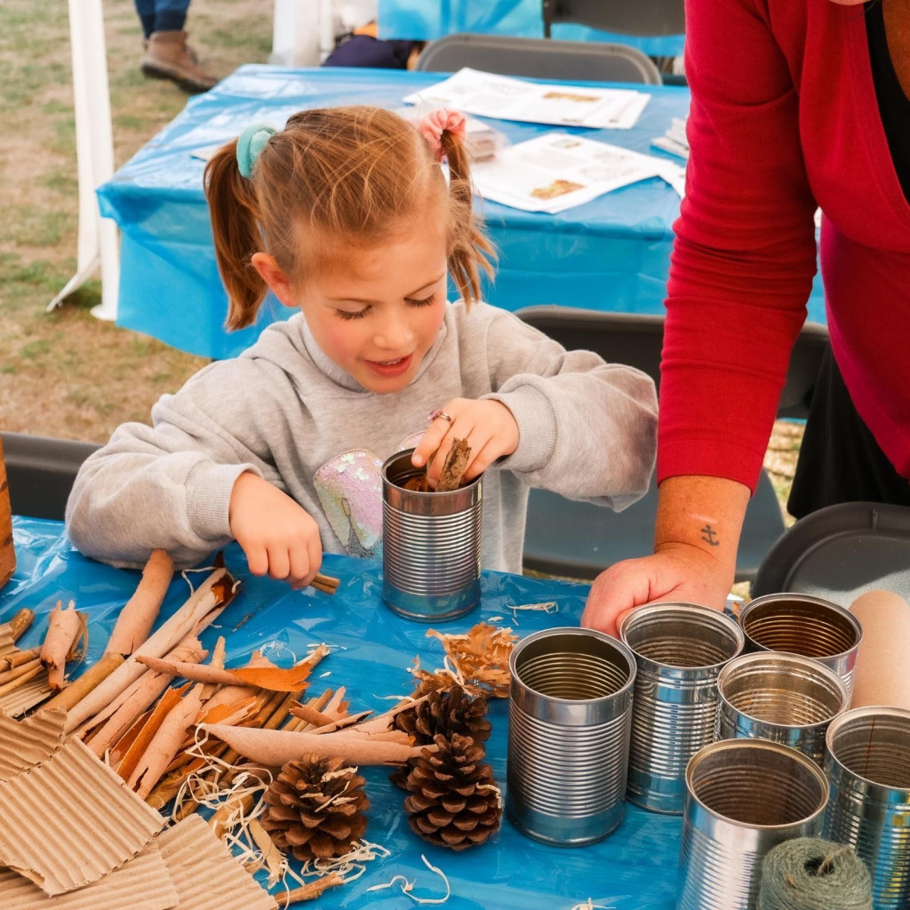 The County Harvest Festival 2022 Lightwave